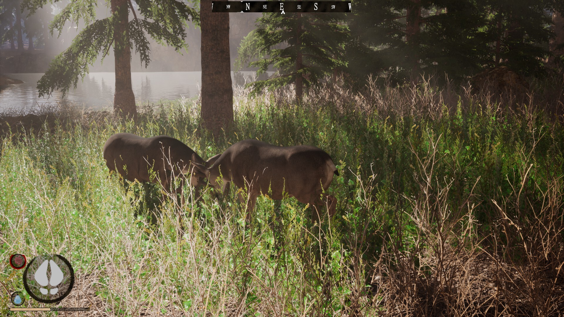 Untamed Kingdom Featured Screenshot #1