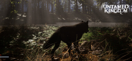 Untamed Kingdom