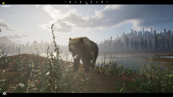 h-fit screenshot