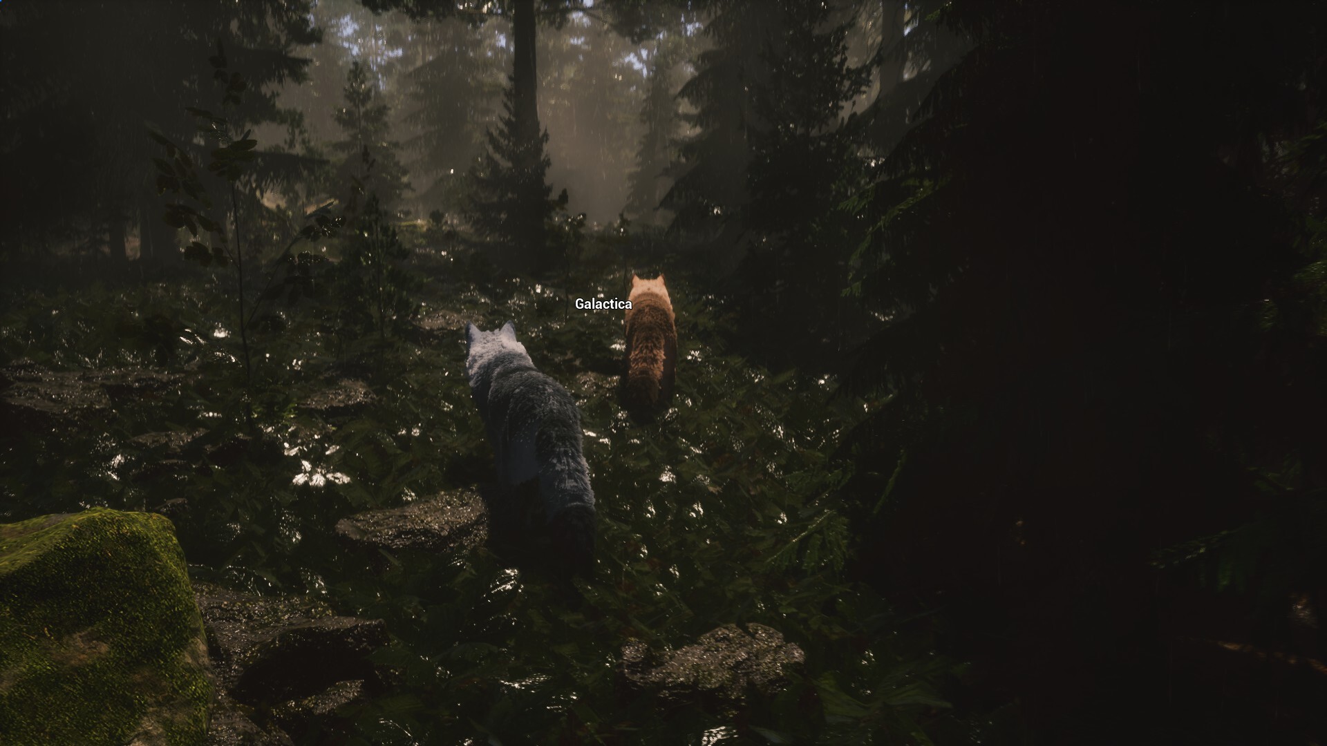 Untamed Kingdom screenshot 19