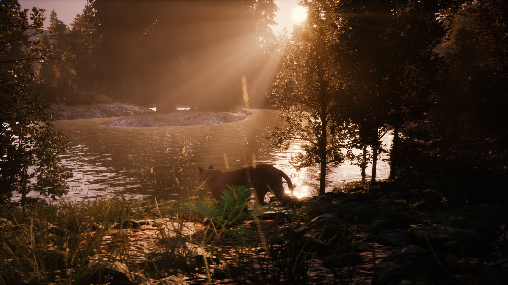 Untamed Kingdom screenshot 11