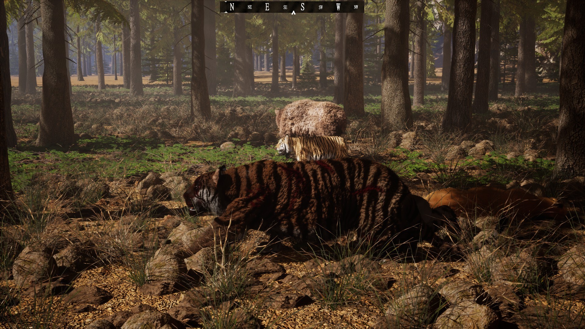 Untamed Kingdom screenshot #8