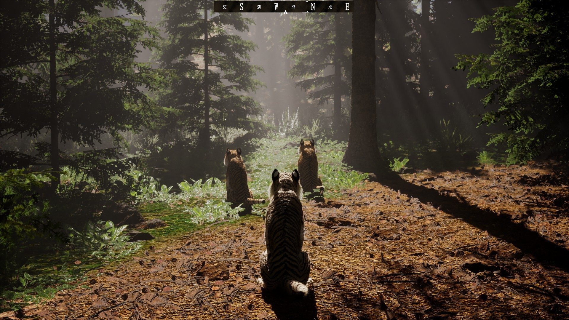 Untamed Kingdom screenshot #11