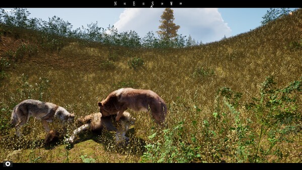 Untamed Kingdom game for Linux 1