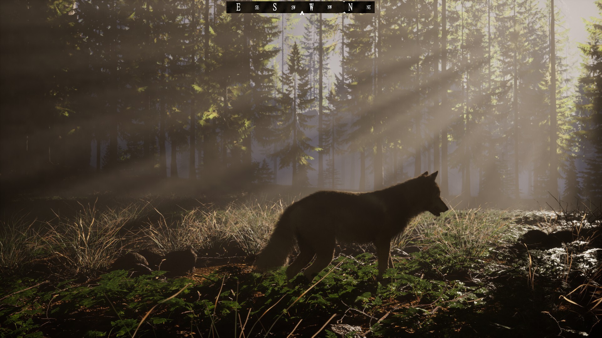 Untamed Kingdom screenshot #13