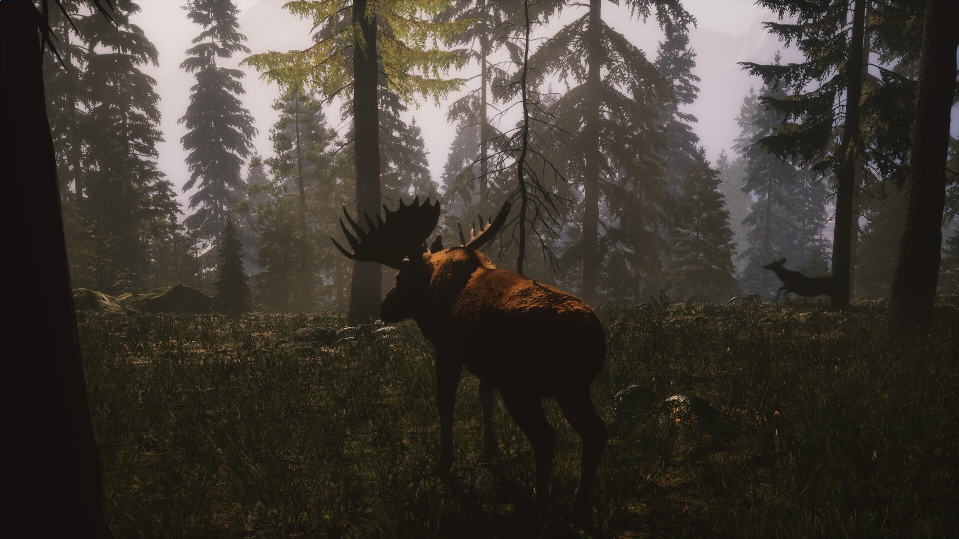 Untamed Kingdom screenshot 18