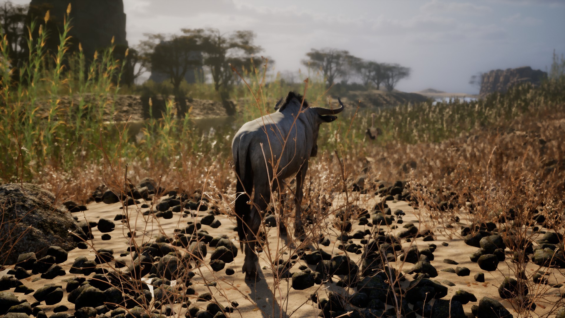 Untamed Kingdom screenshot 14