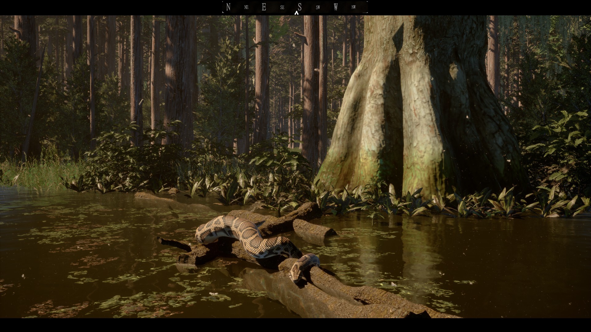Untamed Kingdom screenshot #13