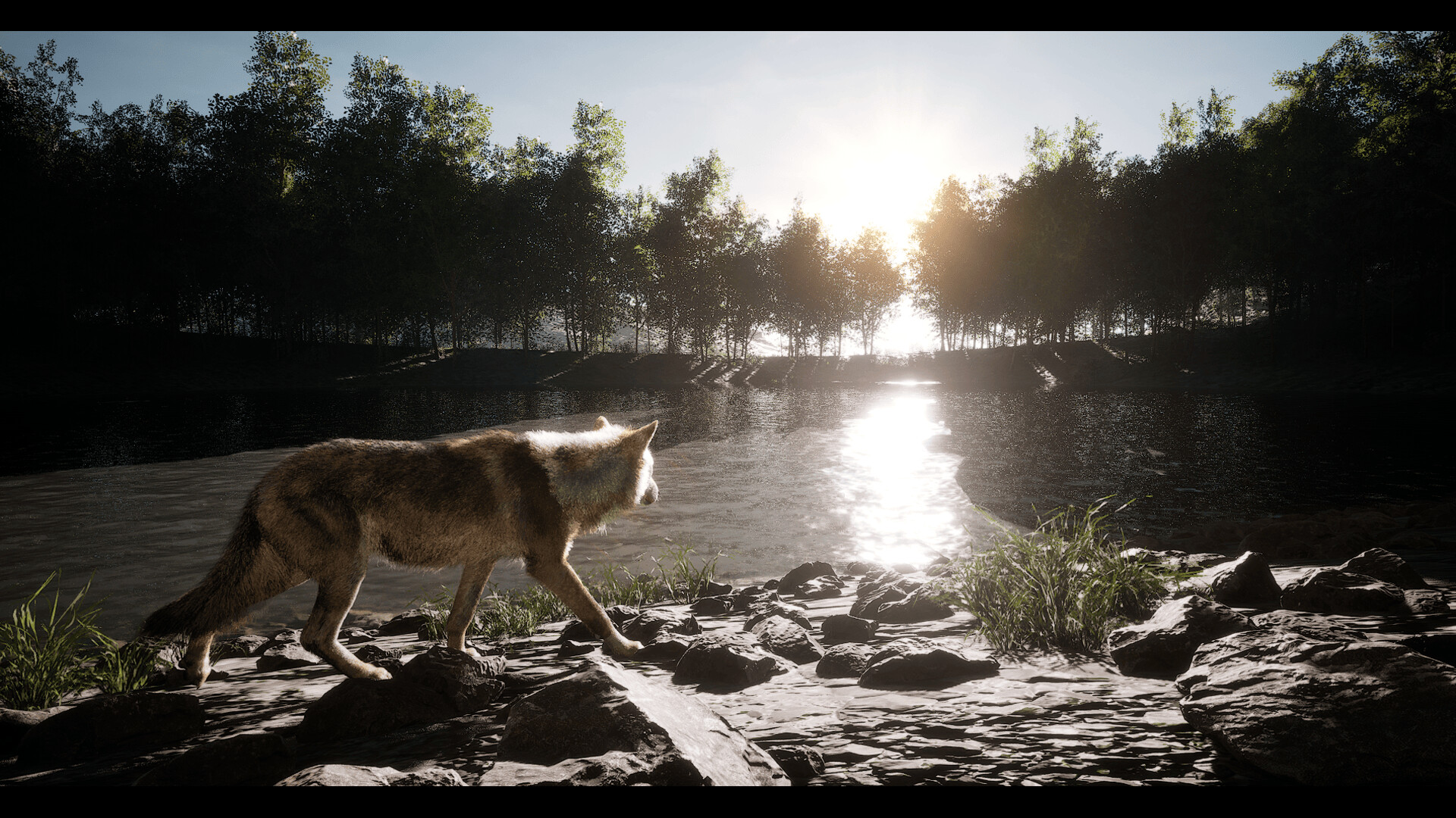 Untamed Kingdom screenshot #7