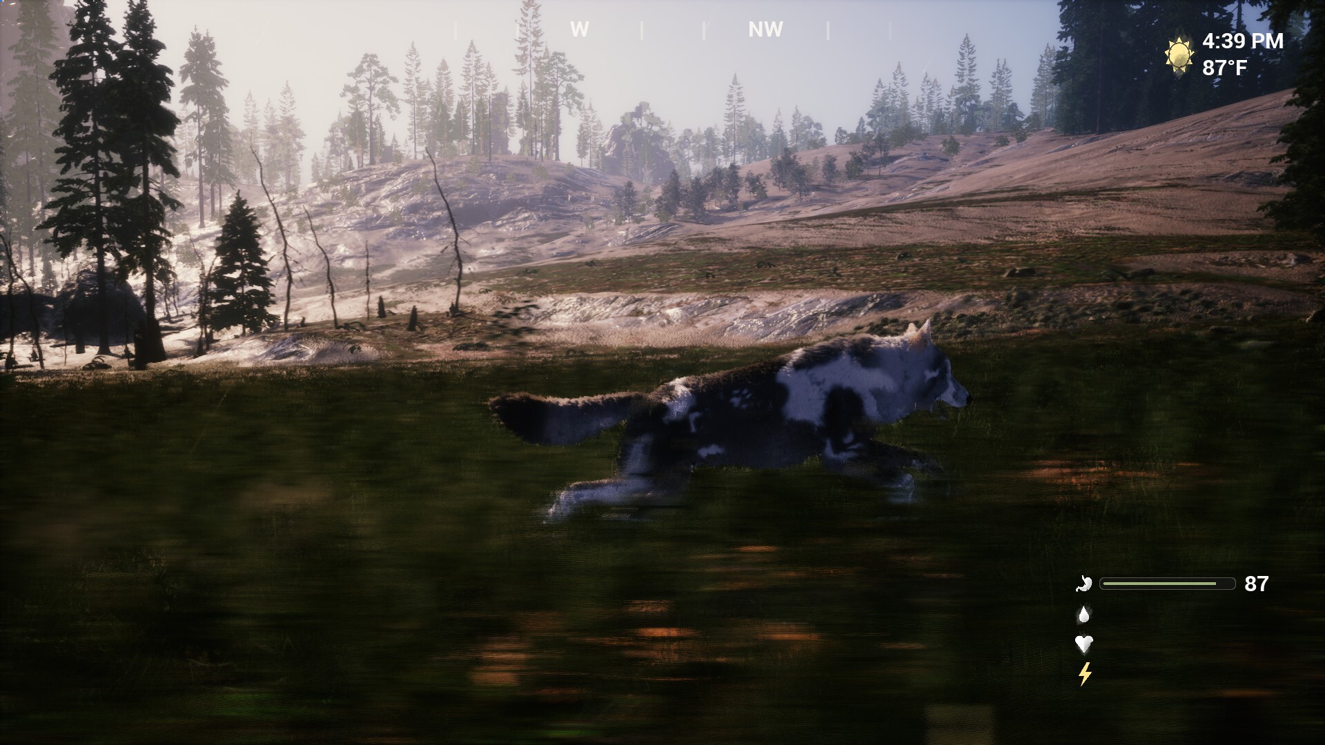 Untamed Kingdom screenshot