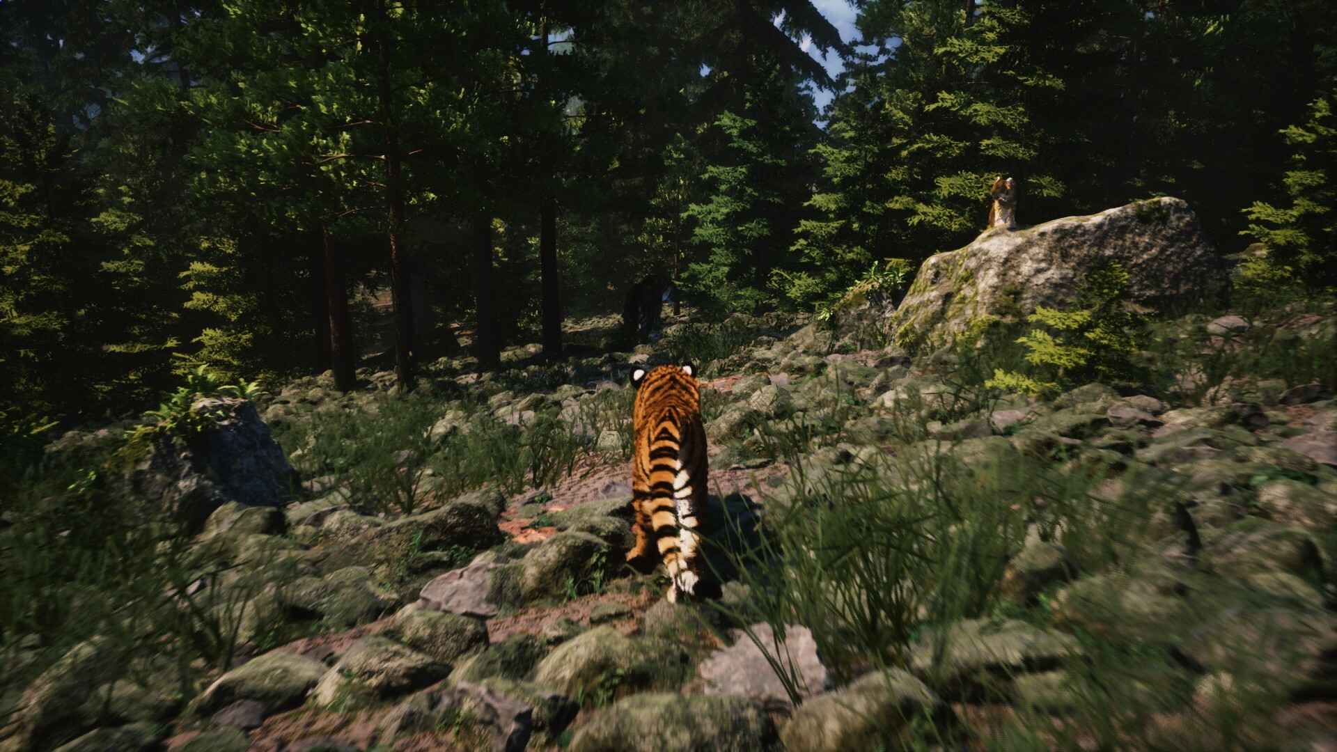 Untamed Kingdom screenshot 1