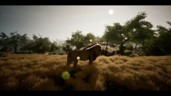 h-fit screenshot