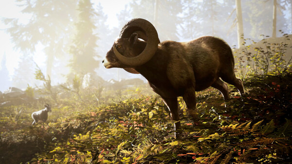 Hunting Simulator 3