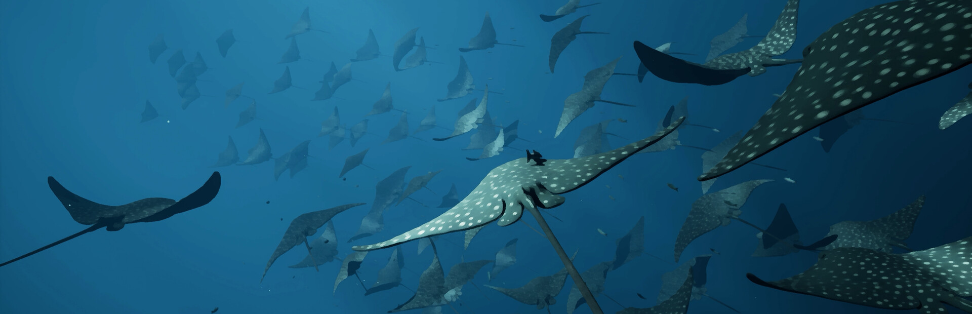 Whale Fall