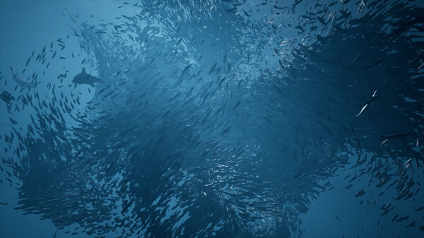 Whale Fall