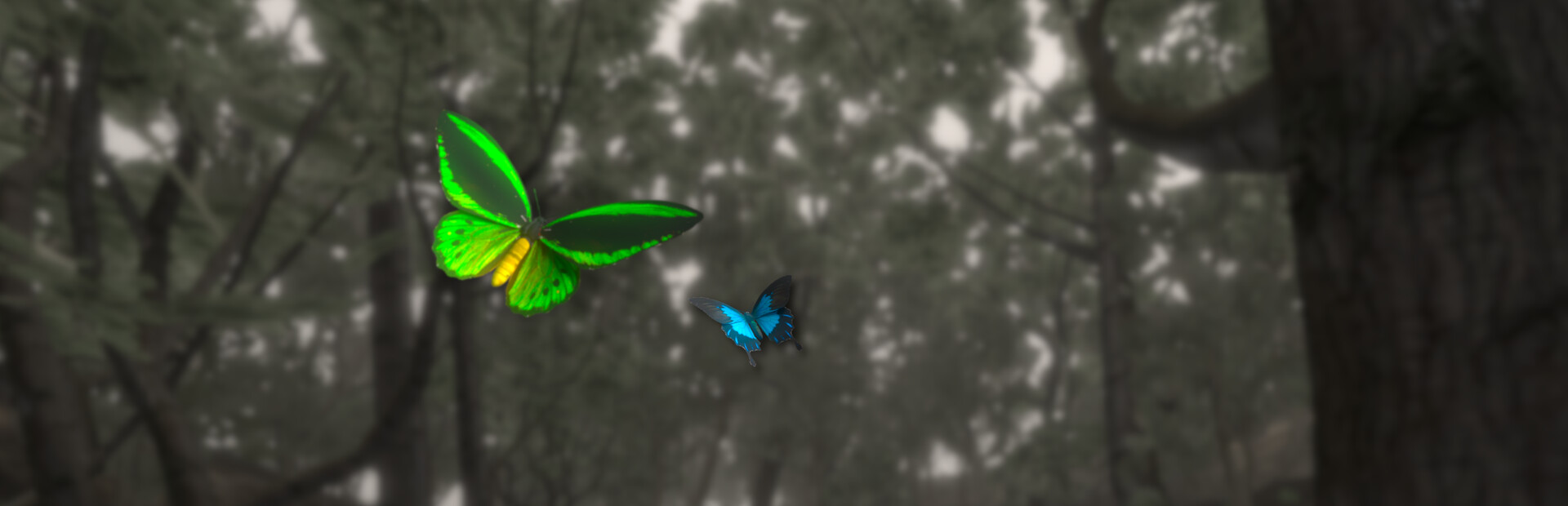 Lepidoptera