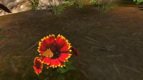 Lepidoptera Screenshot