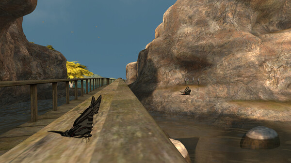 Lepidoptera Screenshot