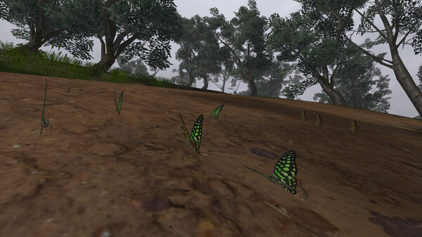 Lepidoptera Screenshot