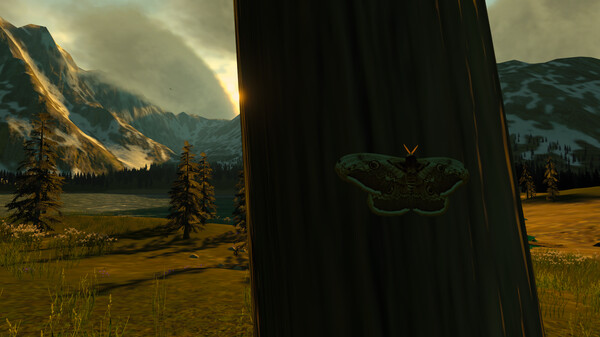 Lepidoptera Screenshot