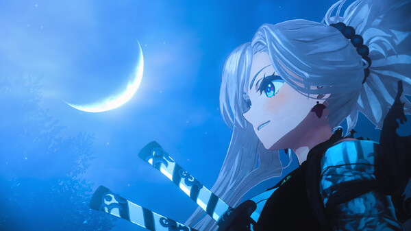 Fate/Samurai Remnant Season Pass.