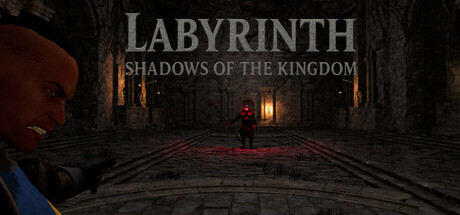 Labyrinth: Shadows of the Kingdom Cover Image