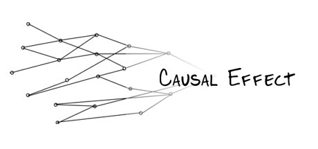 Causal Effect Cover Image