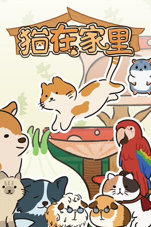 Cat at Home