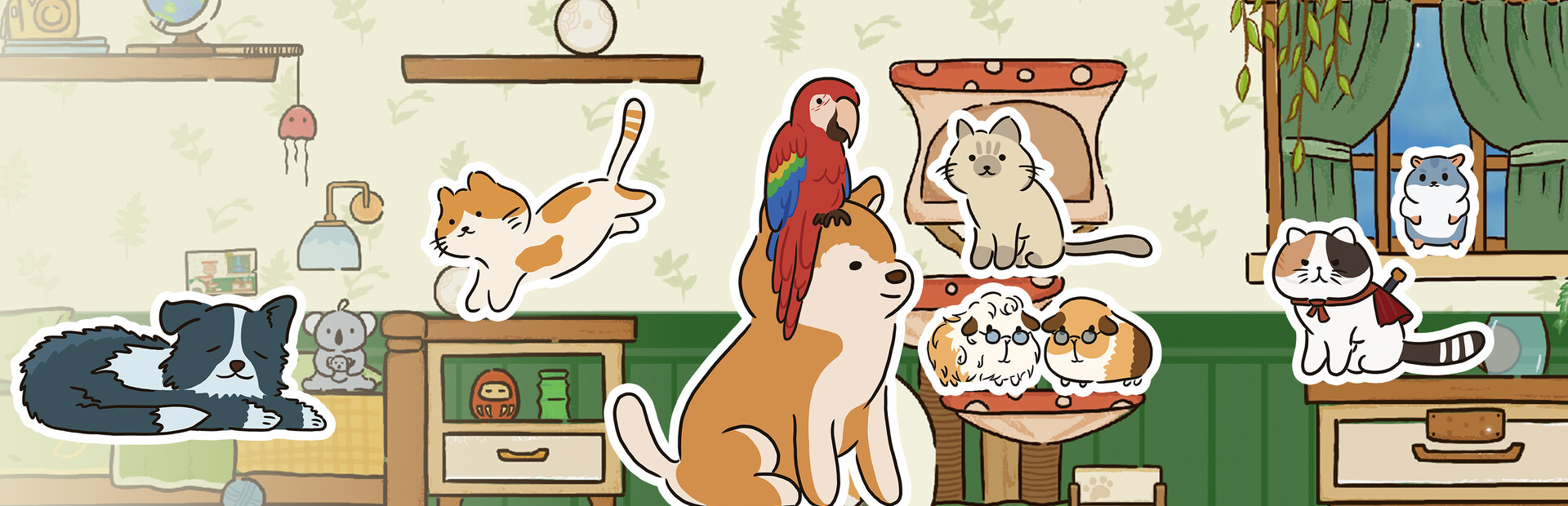 Cat at Home