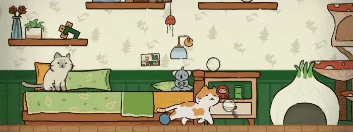 Cat at Home video 8