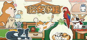 貓在家裡