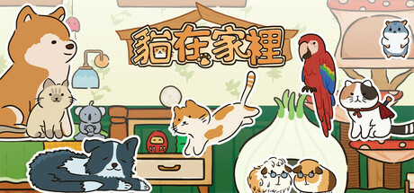 貓在家裡