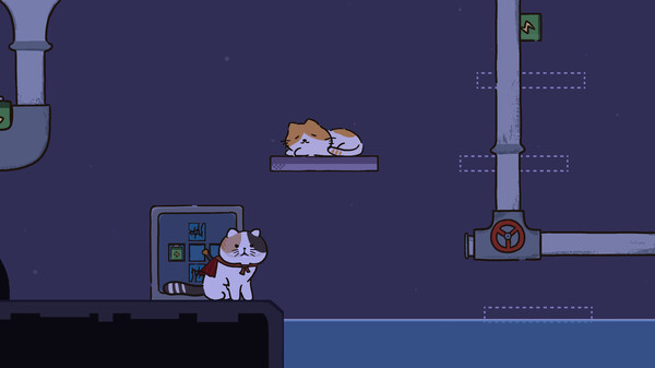 Cat at Home