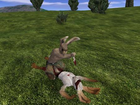 Thumbnail 13