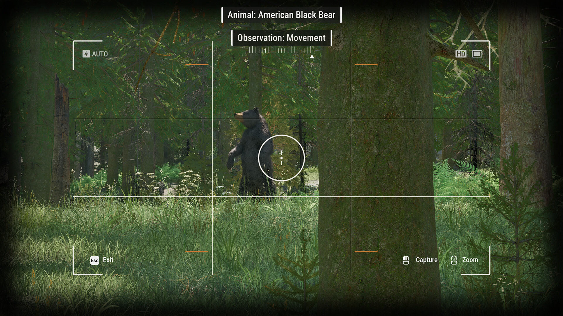 Ranger’s Path: National Park Simulator screenshot 16