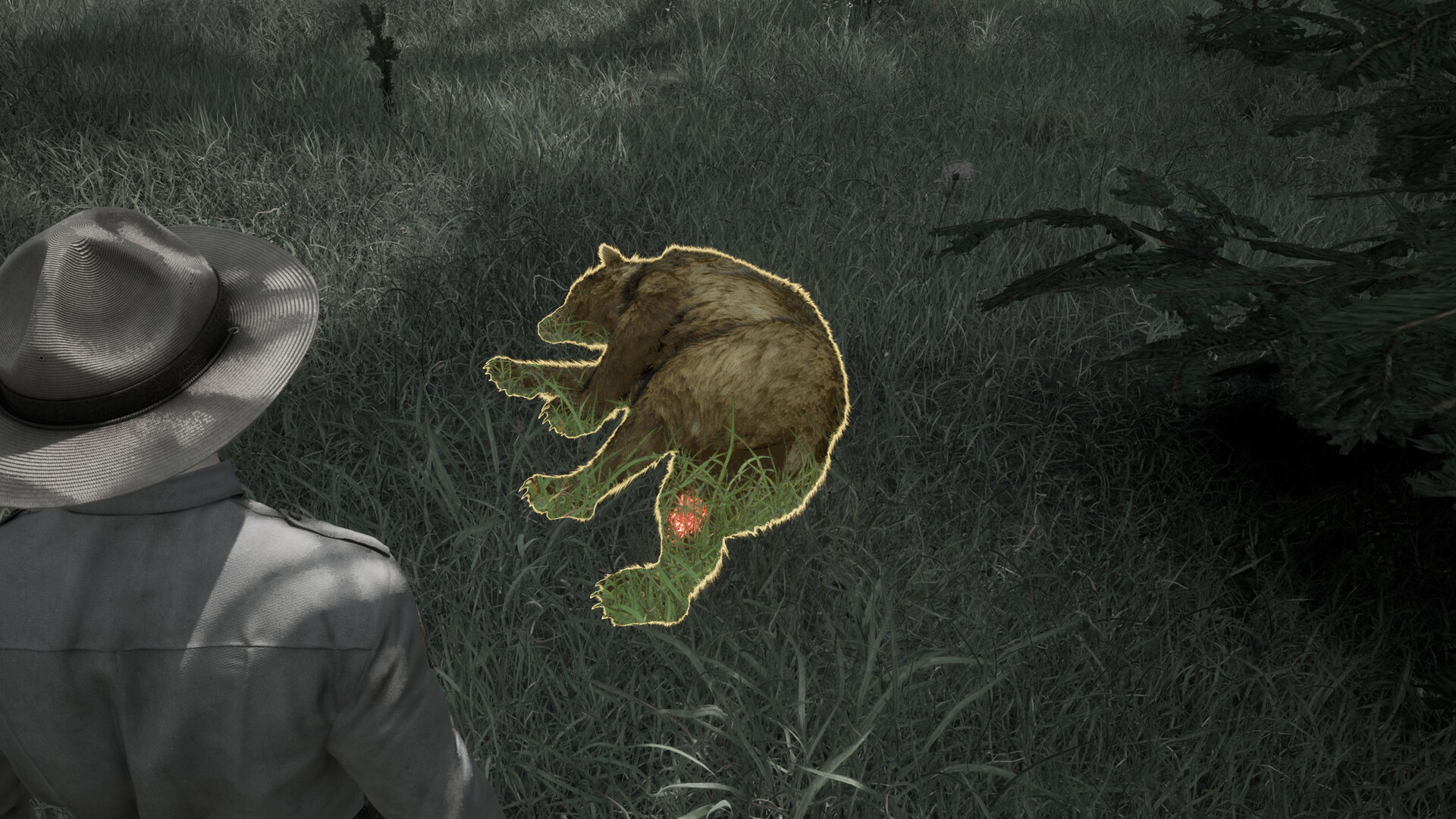Ranger’s Path: National Park Simulator