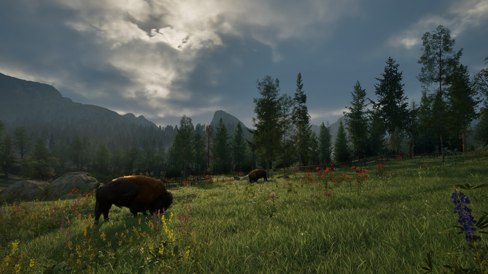 Ranger’s Path: National Park Simulator screenshot 11