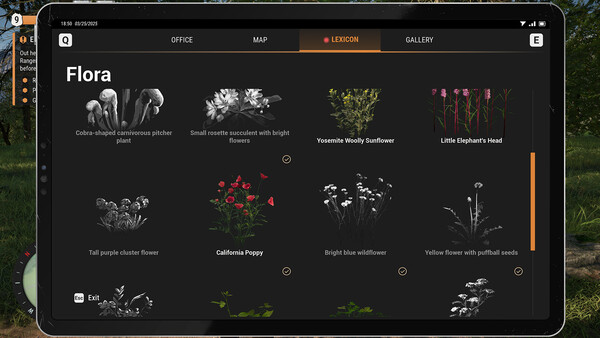 Screenshot of Ranger’s Path: National Park Simulator