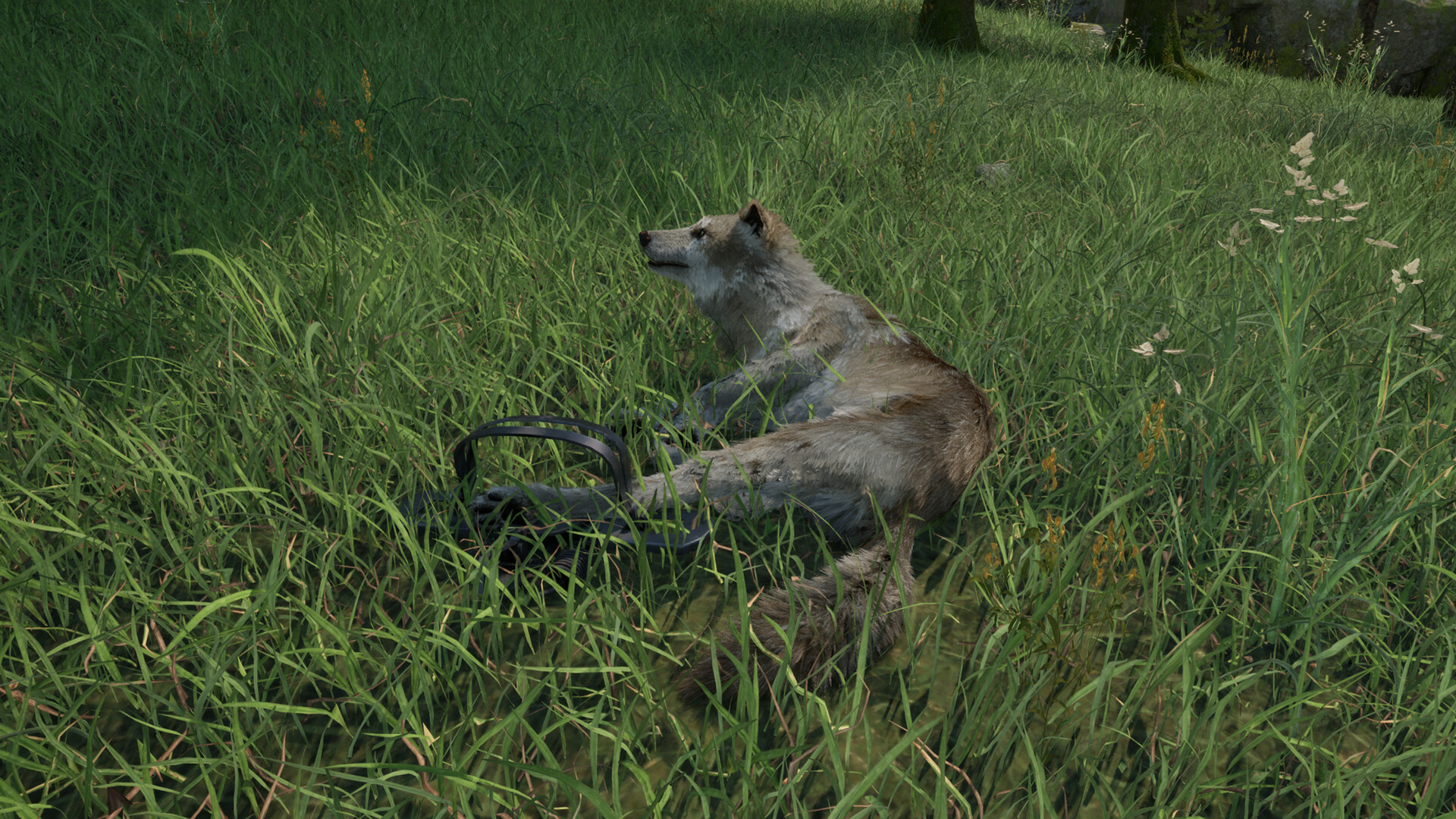 Ranger’s Path: National Park Simulator screenshot 15