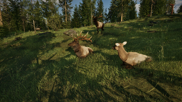 Ranger’s Path: National Park Simulator