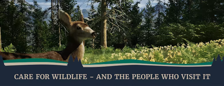 Ranger’s Path: National Park Simulator video 4