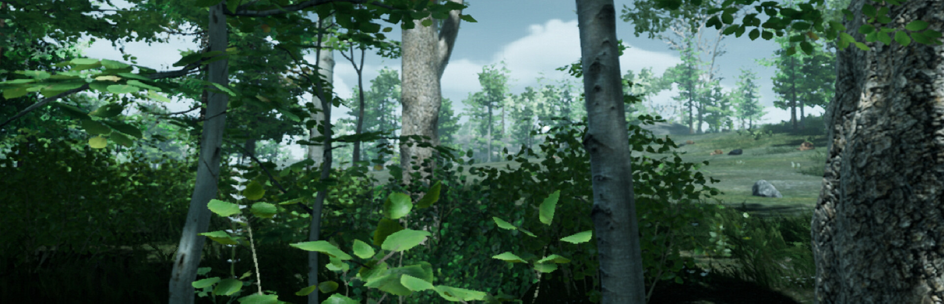 the ISLE survival