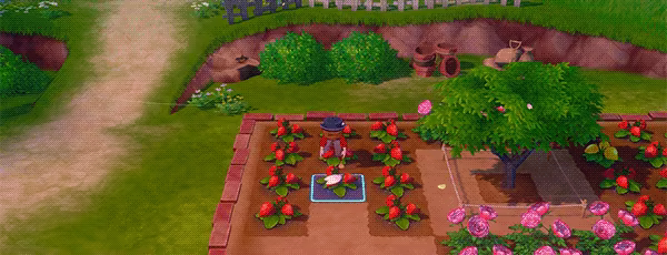 STORY OF SEASONS: Grand Bazaar video 2