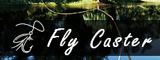 Fly Caster VR