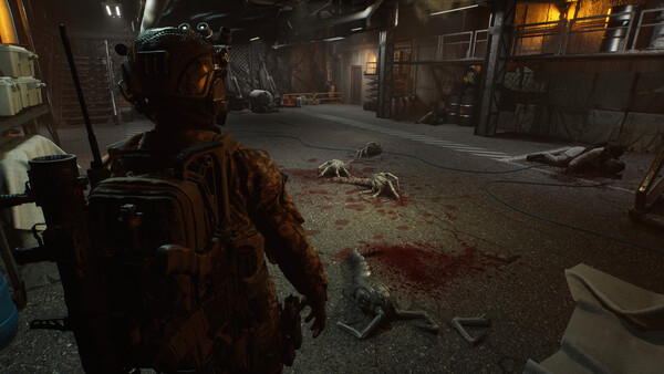 ENTITY: THE BLACK DAY PC-GAME