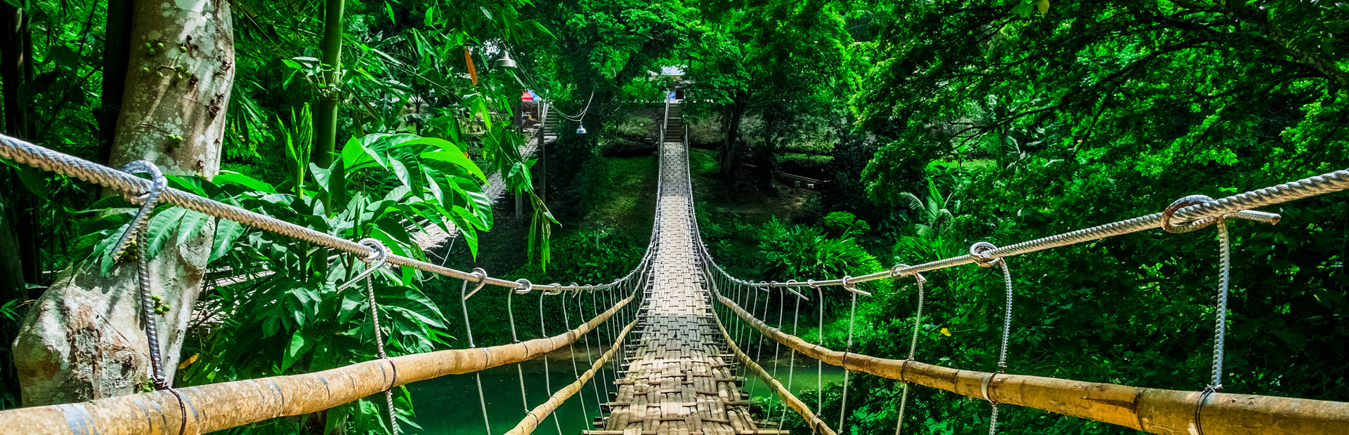 Nature Escapes 4