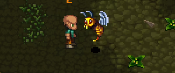Forest Spirit video 4