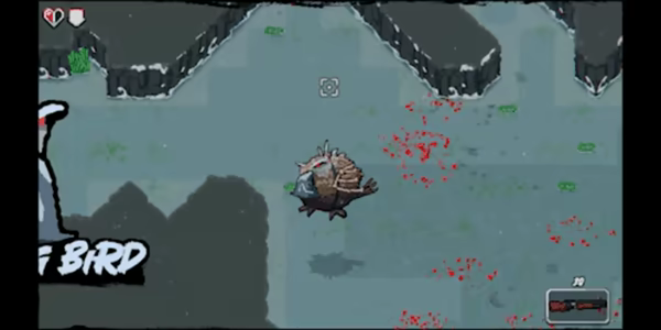 PENGURU video 3