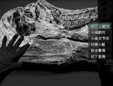 愚人船 NARRENSCHIFF screenshot 2