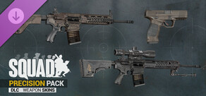 Squad Weapon Skins - Precision Strike Pack
